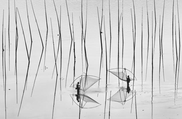 Holy crap, these entries from Nat Geo's 2012 Photo Contest are absolutely gorgeous