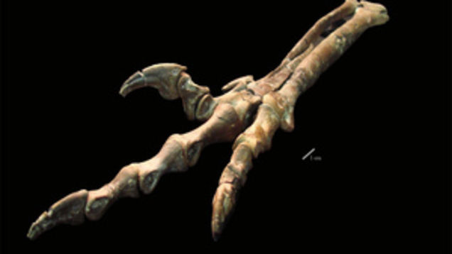 Best of the Week: September 10-September 16, 2011