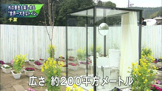 Who Cares about Japan's Large Toilet, Says Guinness World Records