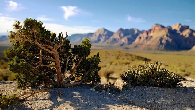 44 Of The Best Smartphone Photos You Can Take