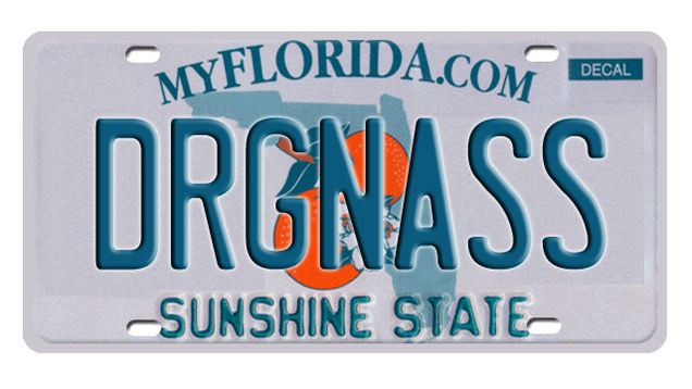 florida license plate lookup dmv