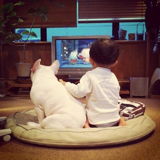 These Photos of an Adorable Little Boy and His French Bulldog Buddy Single-Handedly Justify the Existence of Instagram