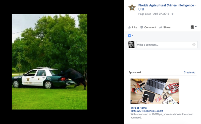 This Goofy Repository of Florida Farm Crimes Is My New Favorite Facebook Page