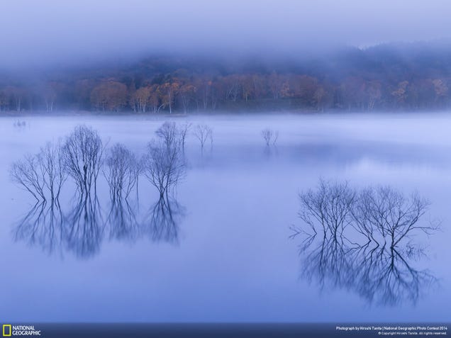 The best pictures from National Geographic's Photo Contest 2014