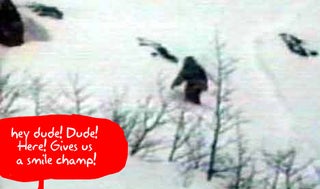 Japanese Scientist Off to Catch Yeti with Camera Array, Again
