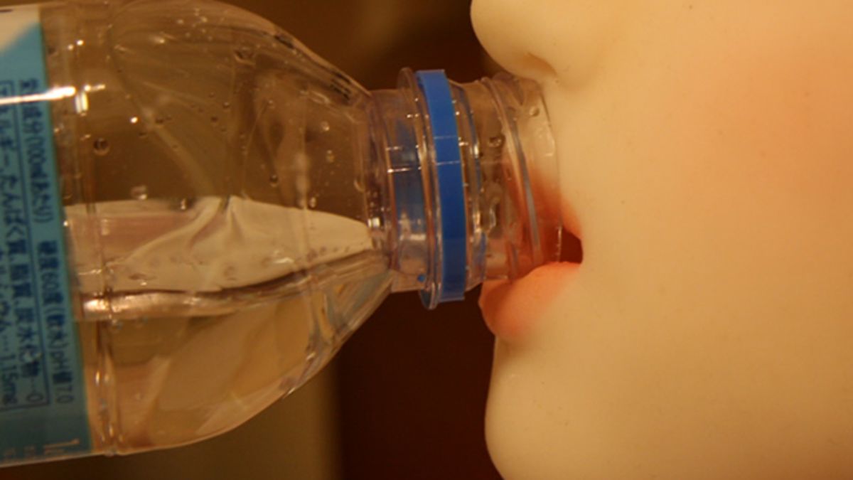 Honey Doll Has Touch Sensors, Moans, Has Fake Orgasms