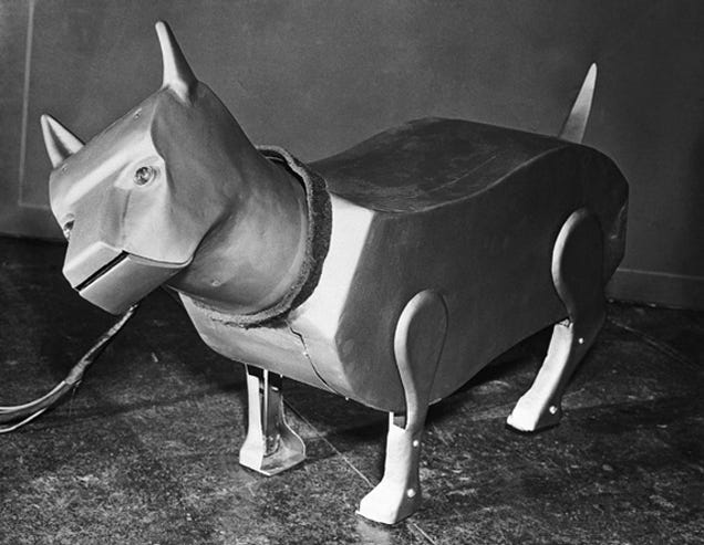 6 Pets That Were Supposed To Be Man's Best Friend In the Future