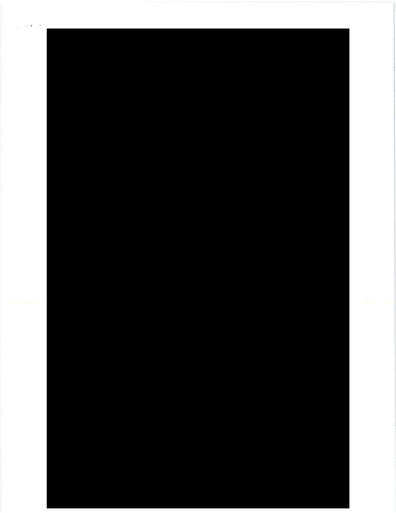 What Do You Think Is in These 73 Straight Pages of Fully Redacted Emails?