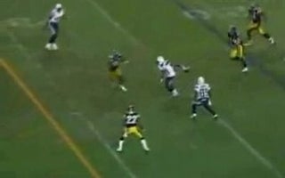 Bad Call Costs Steelers Fans $32 Million