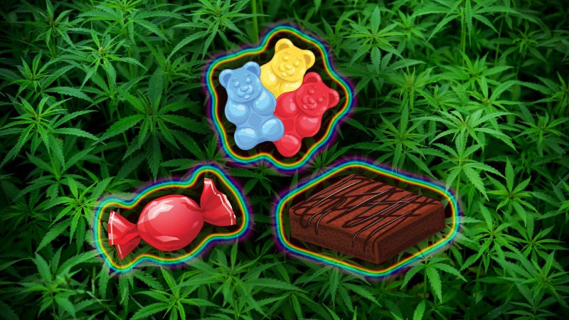 Everything You Need to Know About Medical Marijuana