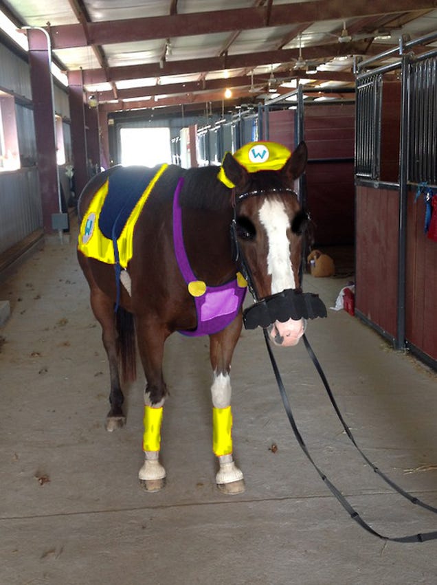 Kotaku 'Shop Contest: Mario Horse: The Winners