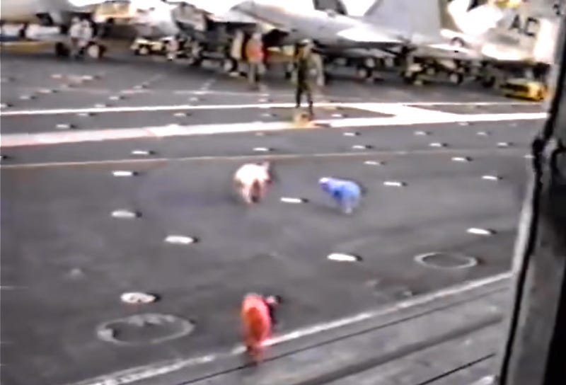 The Time When The USS America Dropped Live Pigs On The USS Kennedy's Deck 