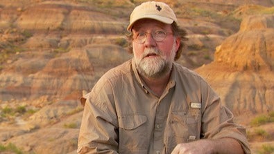 Biologist Argues for Universal Rules That Regulate Life at All Size Scales