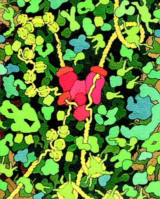 Stunning molecular biology illustrations look like floral abstract art