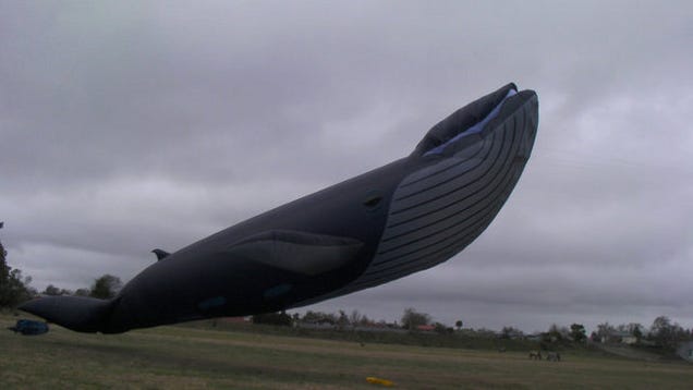 Beware the real-life, 98-foot Fail Whale who terrorizes the skies