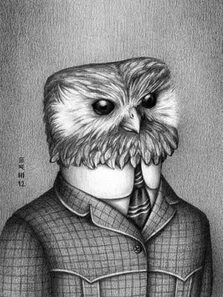 Extinct birds wearing fashions from the year they went extinct