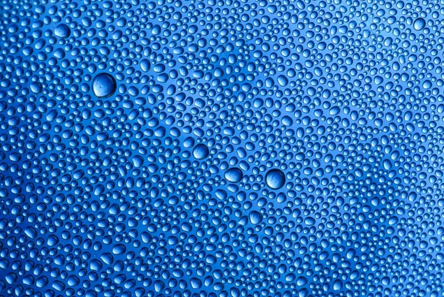 33 Photos Taken In One Amazing Color
