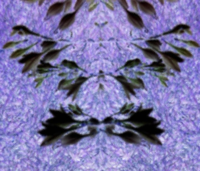 10 Vivid Rorschach Tests, Made By Camera