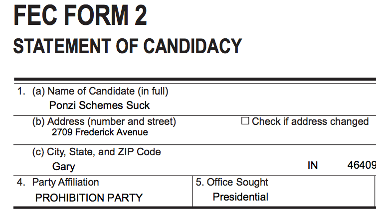 Vote for One of These Underdog Candidates This Election Day