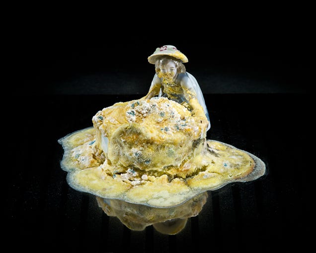 Still-life photos of rotting food are strangely beautiful