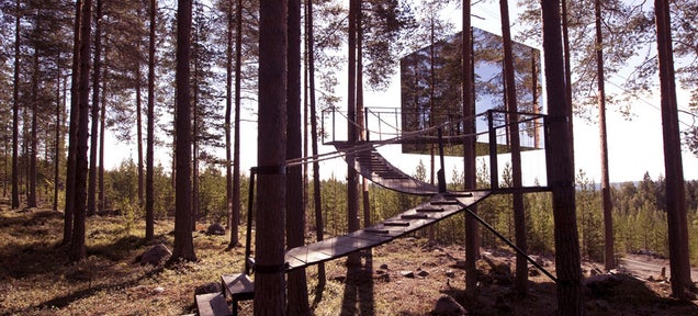 7 Charming and Wacky Treehouses You Can Rent For a Night in the Forest