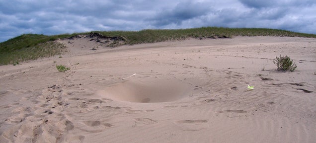 No One Knows Why Deep, Dangerous Holes Are Appearing In This Sand Dune