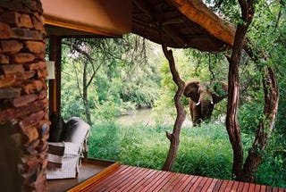 Who Doesn't Want to Live In This House With Elephants In the Garden?