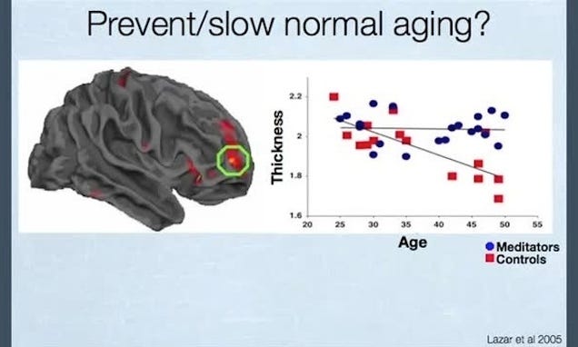 What Happens to the Brain When You Meditate (And How it Benefits You)