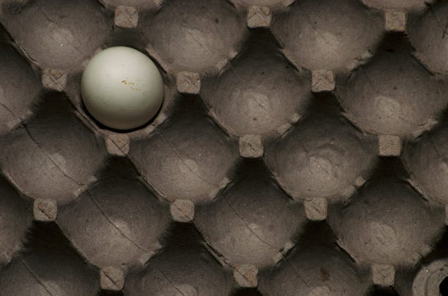 33 Photos Taken In One Amazing Color