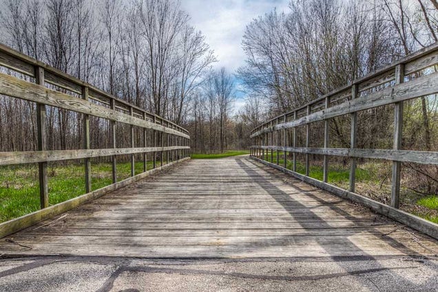19 Photos Of (Near) Perfect Symmetry