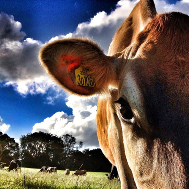 Dear Apple, Let’s Talk About Photos