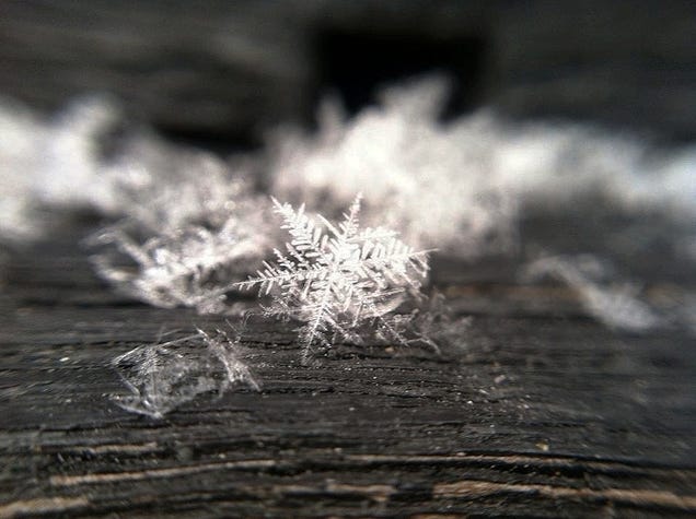 44 Of The Best Smartphone Photos You Can Take