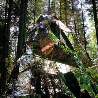 Highly-Advanced Cloaking Device Unveiled in French Forest