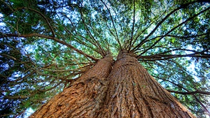 Adventures in the Forbidden Zone: The Best of io9's 2012 Longreads!