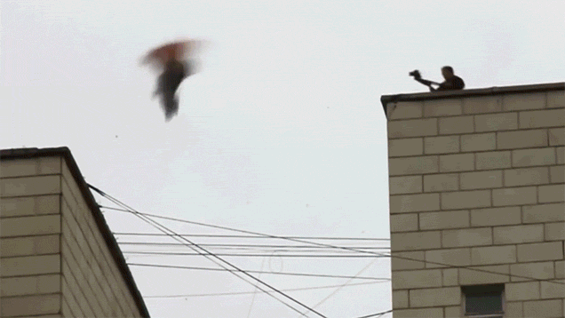 Watching This Dude Run Off Rooftops for Fun Made Me Almost Faint