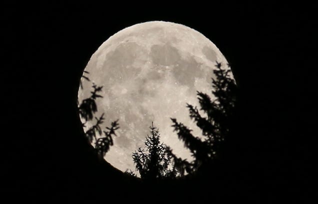 Las mejores fotos de la superluna de ayer