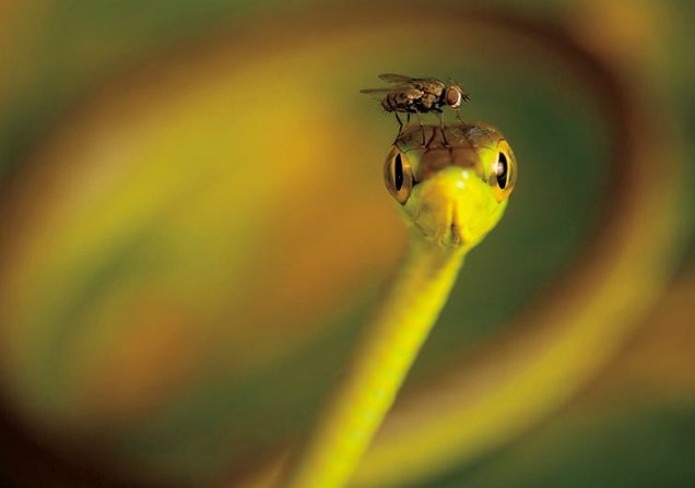 Nature Photos That Will Rock Your World