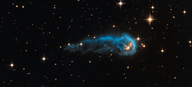 This Stellar Sperm Is Swimming Through Space