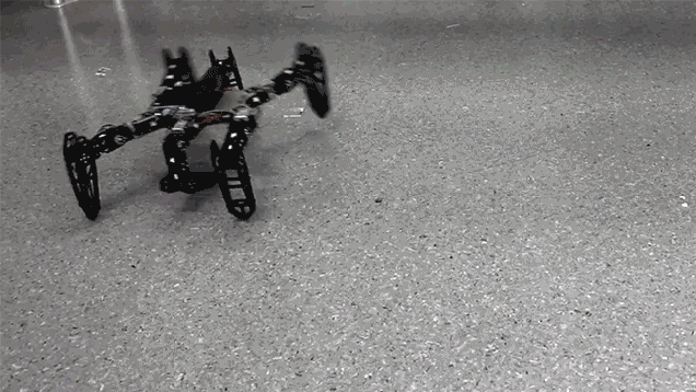 Watch This Bot With a Broken Leg Learn To Walk Straight Again