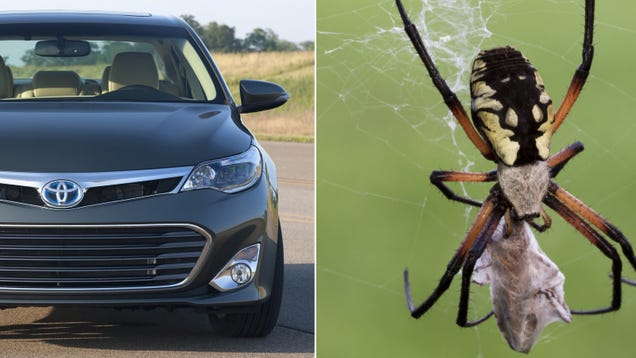 toyota recalls cars due to spiders #6