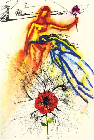 What did Salvador Dalí's Alice in Wonderland look like?