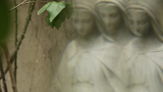 5 Photographs Taken Through Prisms