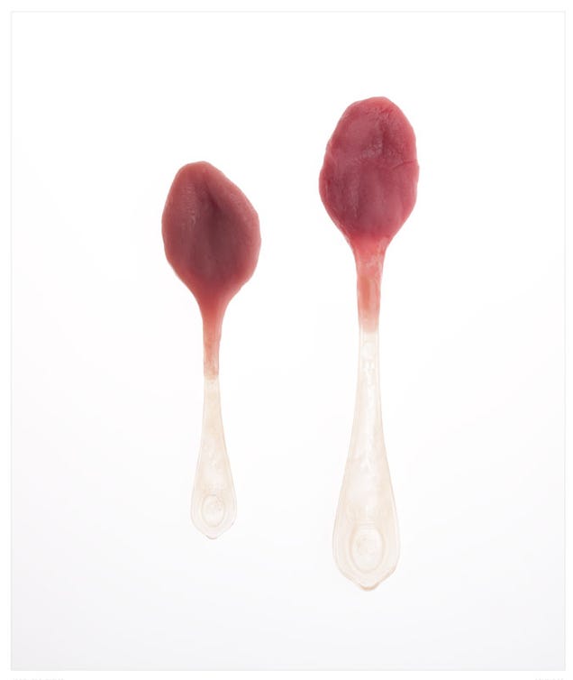 Anatomical kitchen tools ruin your appetite as they help you cook