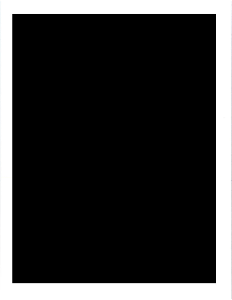 What Do You Think Is in These 73 Straight Pages of Fully Redacted Emails?