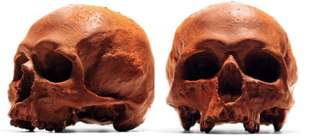An Anatomical Chocolate Skull For Sweet-Toothed Cannibals