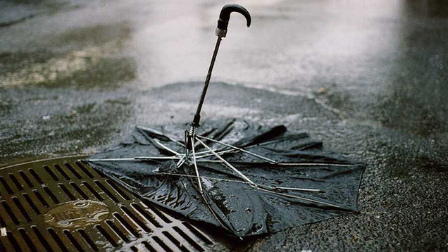 Why Umbrellas Break (and What to Look for in a Good One)