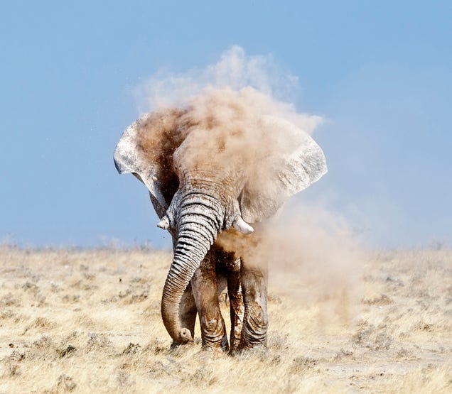 Holy crap, these entries from Nat Geo's 2012 Photo Contest are absolutely gorgeous