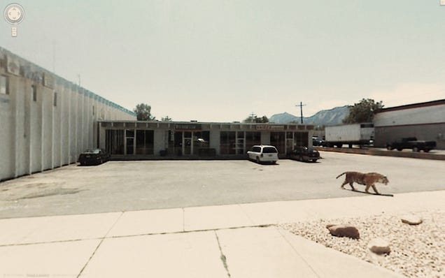 The Funniest Pictures Found on Google Street View