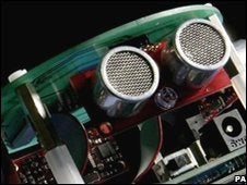 Rat Brains Make the Best CPUs