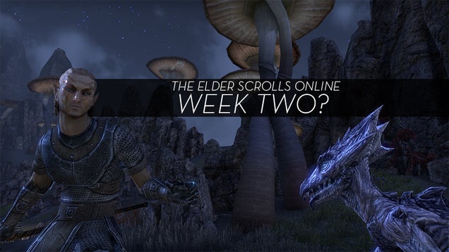 The Elder Scrolls Online MMO Log: I Suppose I Should Be Playing